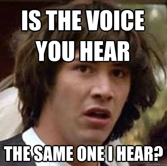 is the voice you hear the same one i hear?  conspiracy keanu