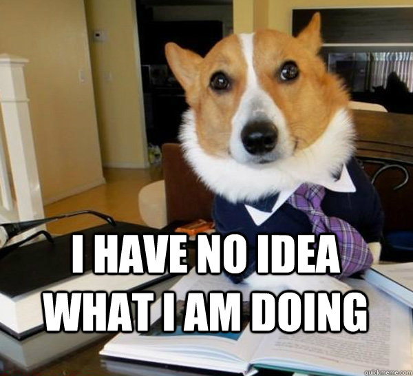 I Have no idea what i am doing   Lawyer Dog