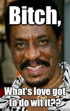 Bitch, What's love got to do wit it?? - Bitch, What's love got to do wit it??  Ike Turner