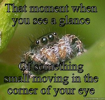 THAT MOMENT WHEN YOU SEE A GLANCE OF SOMETHING SMALL MOVING IN THE CORNER OF YOUR EYE Misunderstood Spider
