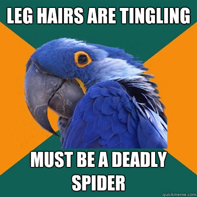 Leg hairs are tingling must be a deadly spider  Paranoid Parrot