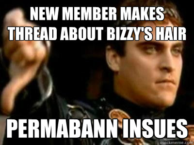 new member makes thread about bizzy's hair Permabann insues  Downvoting Roman