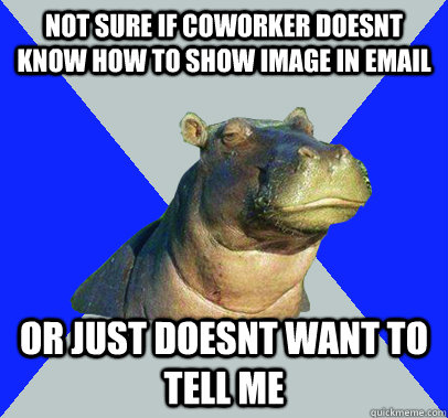 not sure if coworker doesnt know how to show image in email or just doesnt want to tell me - not sure if coworker doesnt know how to show image in email or just doesnt want to tell me  Skeptical Hippo