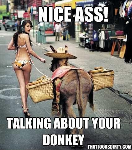 Nice ASs! talking about your donkey thatlooksdirty.com  Donkey