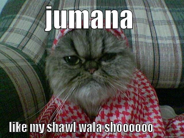 JUMANA LIKE MY SHAWL WALA SHOOOOOO          Misc