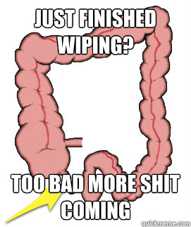 Just finished wiping? Too bad more shit coming - Just finished wiping? Too bad more shit coming  Scumbag Bowels