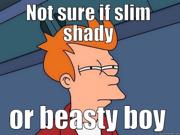 NOT SURE IF SLIM SHADY OR BEASTY BOY Futurama Fry