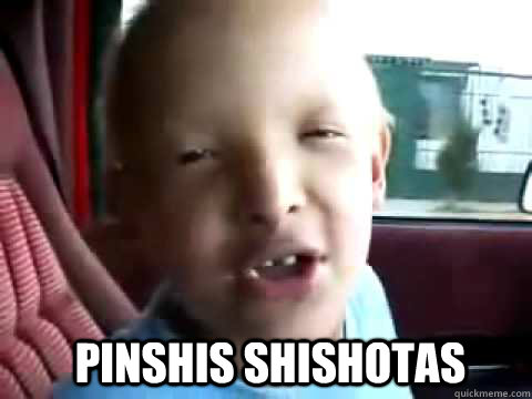 PINSHIS SHISHOTAS  