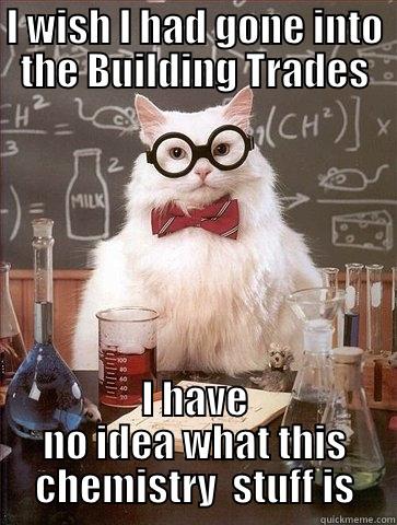 I WISH I HAD GONE INTO THE BUILDING TRADES I HAVE NO IDEA WHAT THIS CHEMISTRY  STUFF IS Chemistry Cat