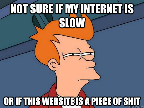 Not sure if my internet is slow Or if this website is a piece of shit - Not sure if my internet is slow Or if this website is a piece of shit  Futurama Fry