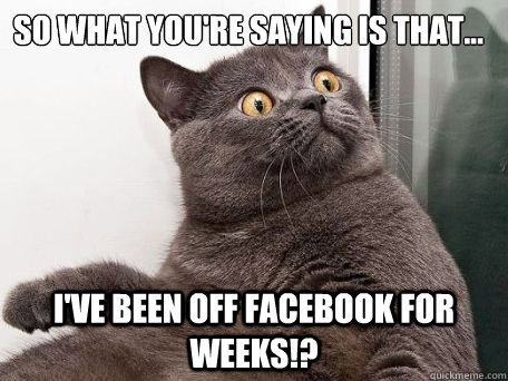 So what you're saying is that... I've been off facebook for weeks!? - So what you're saying is that... I've been off facebook for weeks!?  Astonished cat