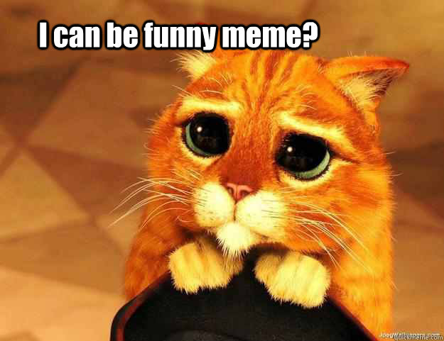 I can be funny meme? - I can be funny meme?  Will you marry me