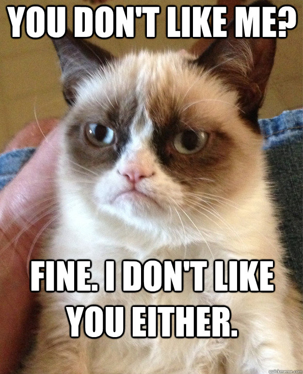 you don't like me? fine. i don't like you either.  - you don't like me? fine. i don't like you either.   Misc