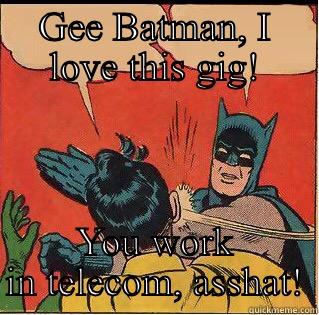 GEE BATMAN, I LOVE THIS GIG! YOU WORK IN TELECOM, ASSHAT! Slappin Batman