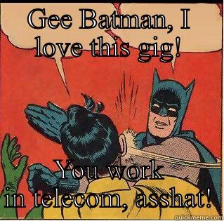 Telecom comix - GEE BATMAN, I LOVE THIS GIG! YOU WORK IN TELECOM, ASSHAT! Slappin Batman