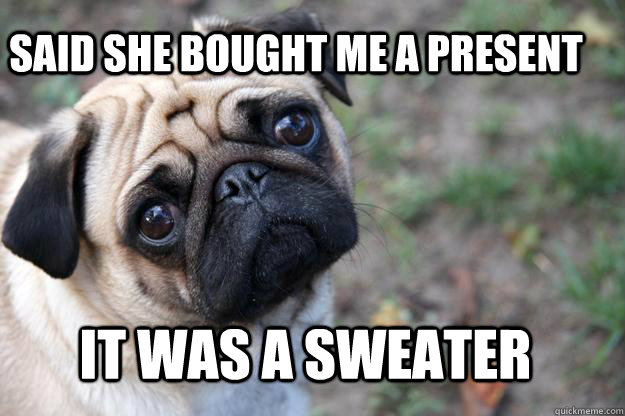 said she bought me a present it was a sweater  First World Dog problems