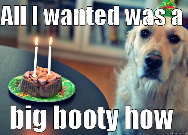 ALL I WANTED WAS A  BIG BOOTY HOW Sad Birthday Dog