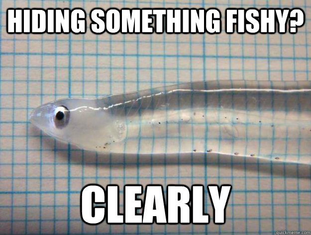 Hiding something fishy? Clearly  