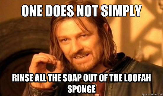 One Does Not Simply rinse all the soap out of the loofah sponge  Boromir
