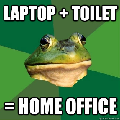 Laptop + toilet = home office  Foul Bachelor Frog