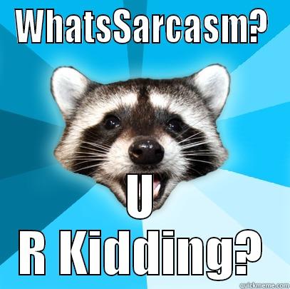 WHATSSARCASM? U R KIDDING? Lame Pun Coon