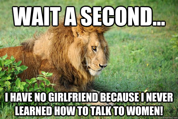 Wait a second... I have no Girlfriend Because I Never Learned How to Talk to Women!  