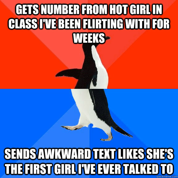 Gets number from hot girl in class i've been flirting with for weeks sends awkward text likes she's the first girl i've ever talked to  Socially Awesome Awkward Penguin
