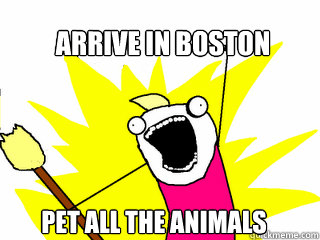 Arrive in boston pet all the animals  All The Things