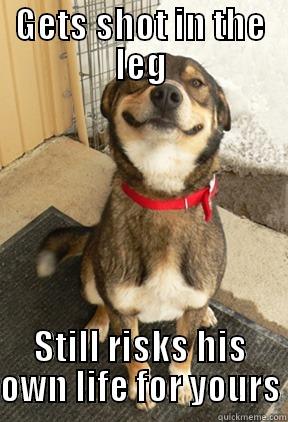GETS SHOT IN THE LEG STILL RISKS HIS OWN LIFE FOR YOURS Good Dog Greg