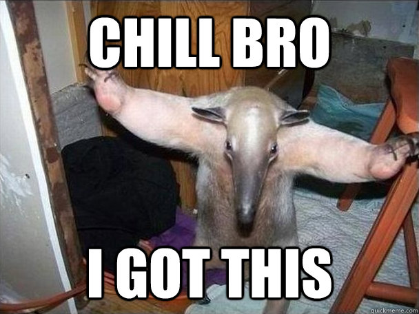 Chill bro i got this  I got this