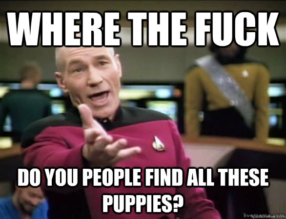 where the fuck do you people find all these puppies?  Annoyed Picard HD