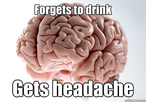 Forgets to drink Gets headache  Scumbag Brain
