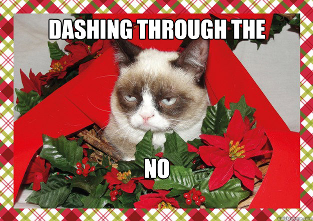 Dashing through the no - Dashing through the no  christmas grumpy cat 2