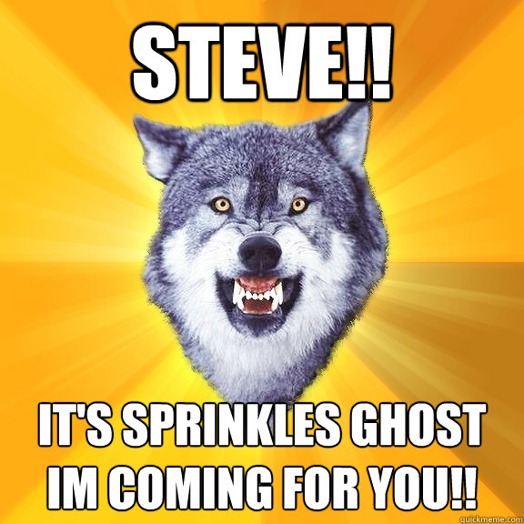 steve!! it's sprinkles ghost im coming for you!!  Courage Wolf