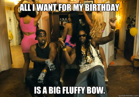 all i want for my birthday is a big fluffy bow. - all i want for my birthday is a big fluffy bow.  birthday bow