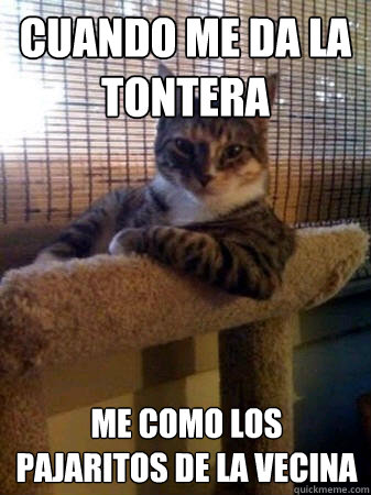 Cuando me da la tontera Me como los pajaritos de la vecina     The Most Interesting Cat in the World