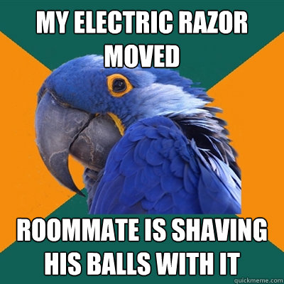 My electric razor moved Roommate is shaving his balls with it  Paranoid Parrot