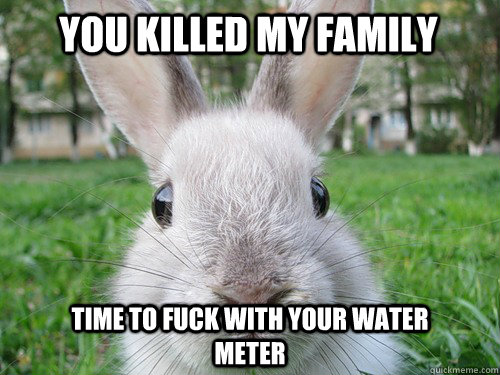 You killed my family Time to fuck with your water meter  Rabbit webcam