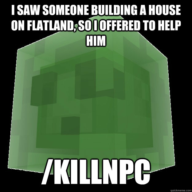 I saw someone building a house on flatland, so i offered to help him /killnpc  Misunderstood Slime