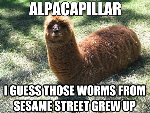 alpacapillar i guess those worms from sesame street grew up  Alpacapillar
