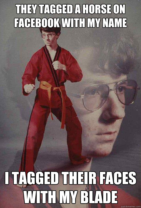 they tagged a horse on facebook with my name i tagged their faces with my blade  Karate Kyle