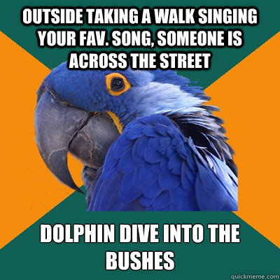 outside taking a walk singing your fav. song, someone is across the street dolphin dive into the bushes  Paranoid Parrot