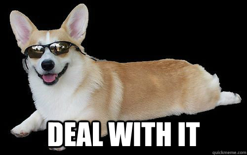  deal with it -  deal with it  Misc
