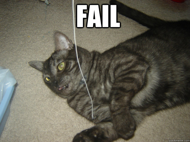 fail - fail  Fail Cat