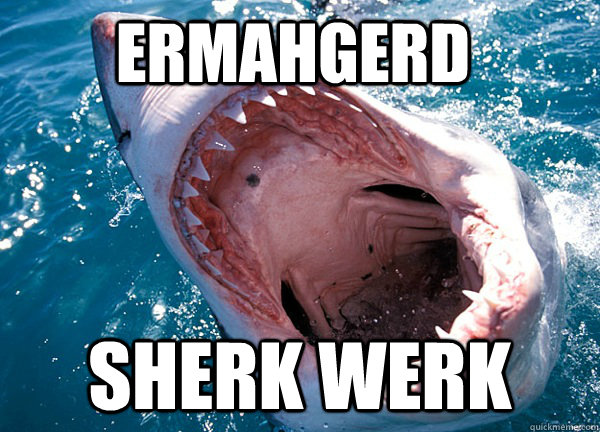 ERMAHGERD SHERK WERK  
