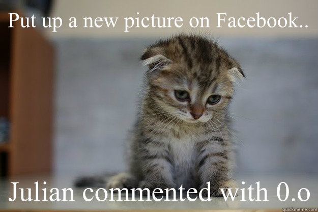 Put up a new picture on Facebook.. Julian commented with 0.o   Sad Kitten