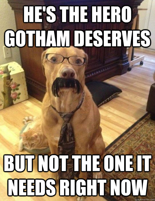 he's the hero gotham deserves but not the one it needs right now - he's the hero gotham deserves but not the one it needs right now  Commissioner Gordon Dog