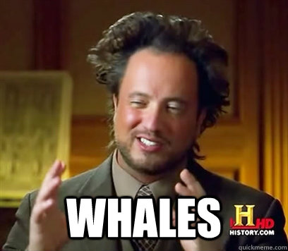  whales -  whales  Ancient Aliens Meme Plague