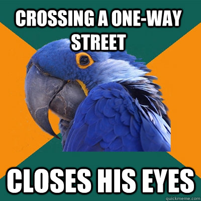 Crossing a one-way street Closes his Eyes  Paranoid Parrot