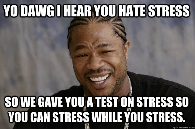 YO DAWG I HEAR YOU HATE STRESS so we gave you a test on stress so you can stress while you stress.  Xzibit meme